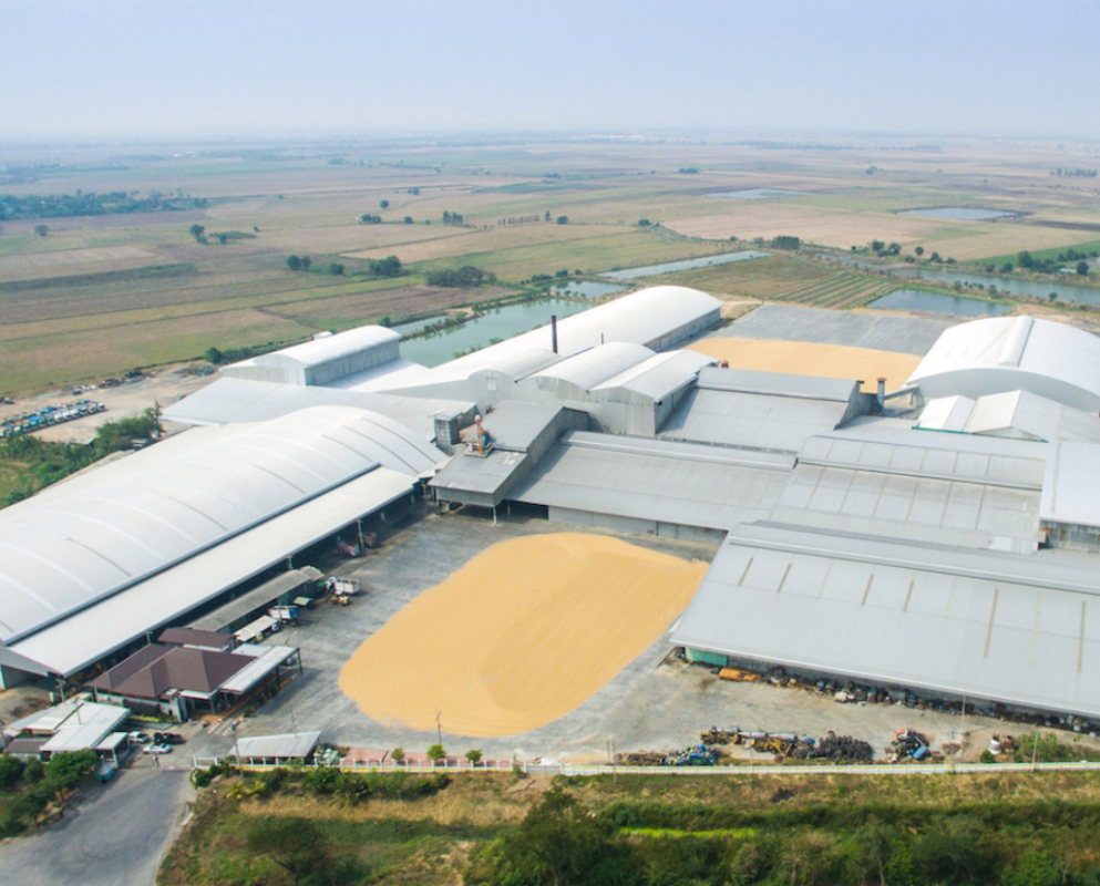 Top Rice Exporters in Thailand